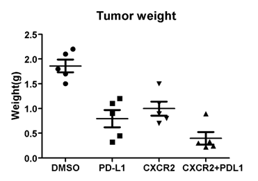高醫陳立宗2