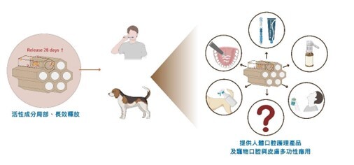 高醫石啟仁