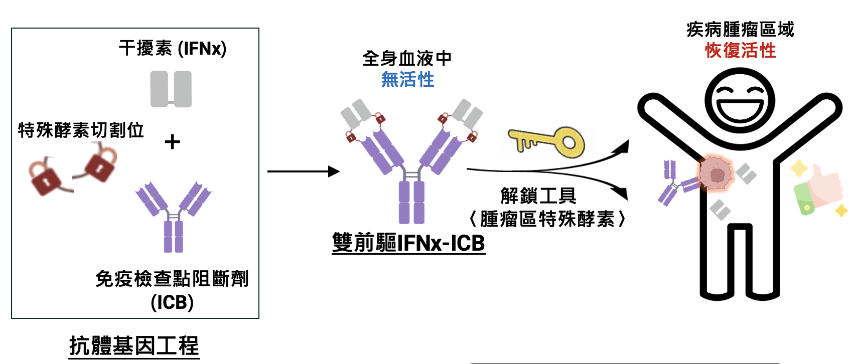 IFN